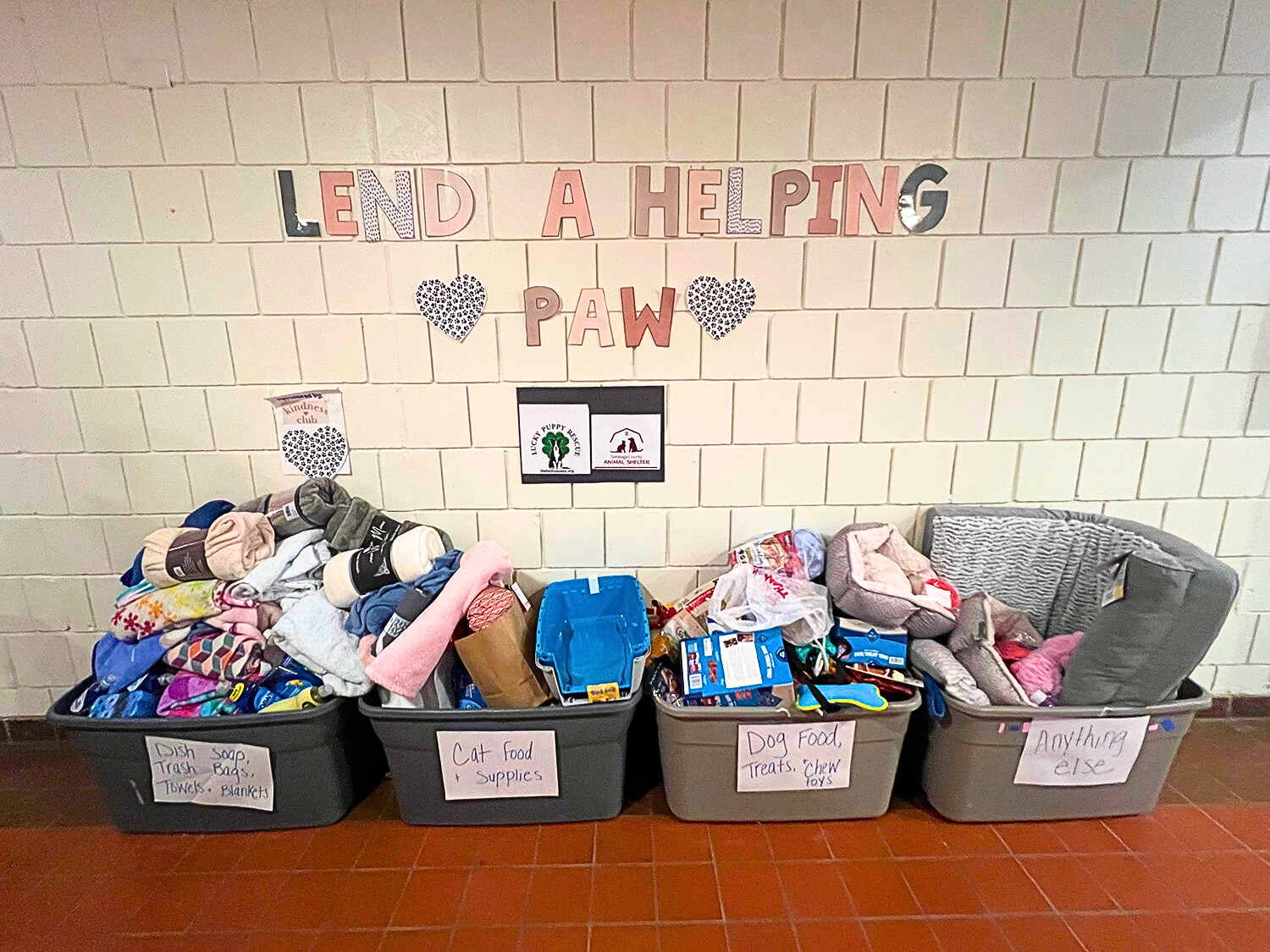 Kindness Club ‘lends a helping paw’ to local animal shelters with ...